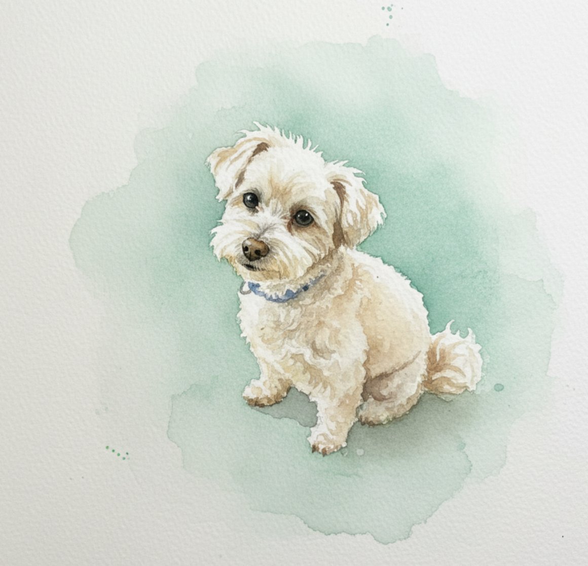 Auggie watercolor